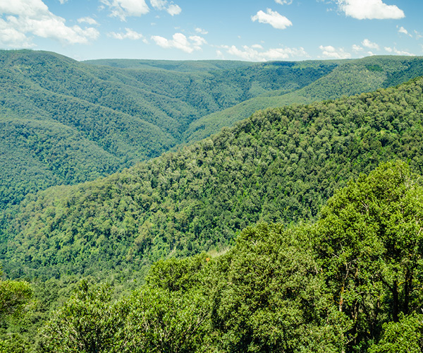 Barrington Tops National Park