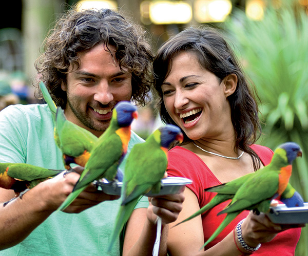 Currumbin Wildlife Sanctuary