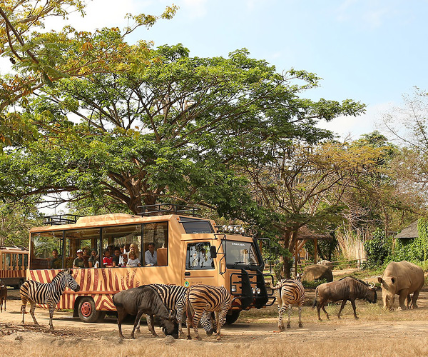 Bali Safari and Marine Park
