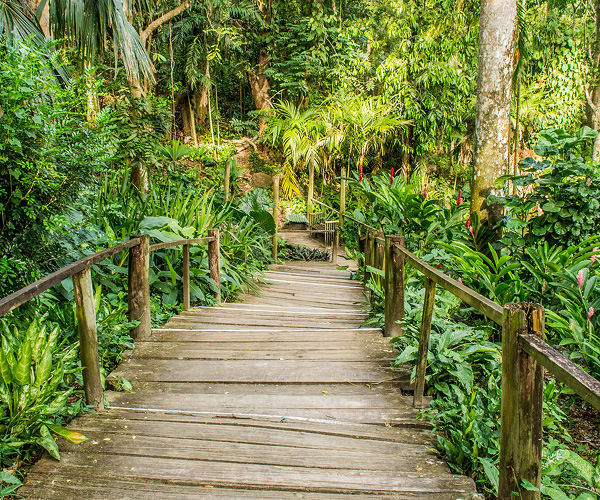 Garden of the Sleeping Giant