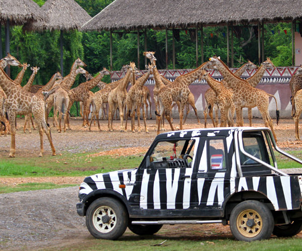 Safari World