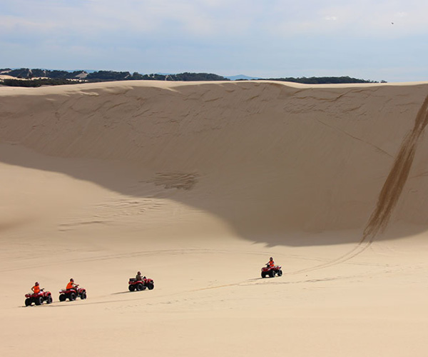 Sand Dune Adventures