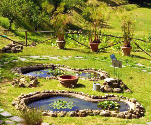 Botanical Gardens and Museum