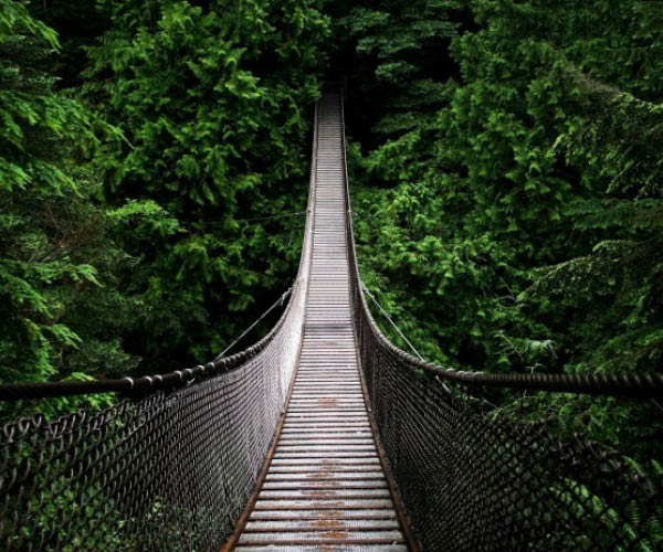 Capilano Suspension Bridge