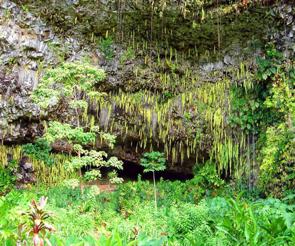 Fern Grotto