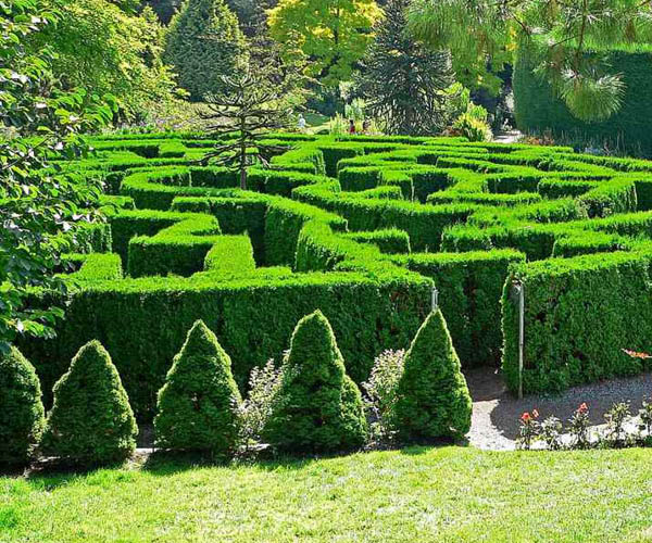 VanDusen Botanical Garden