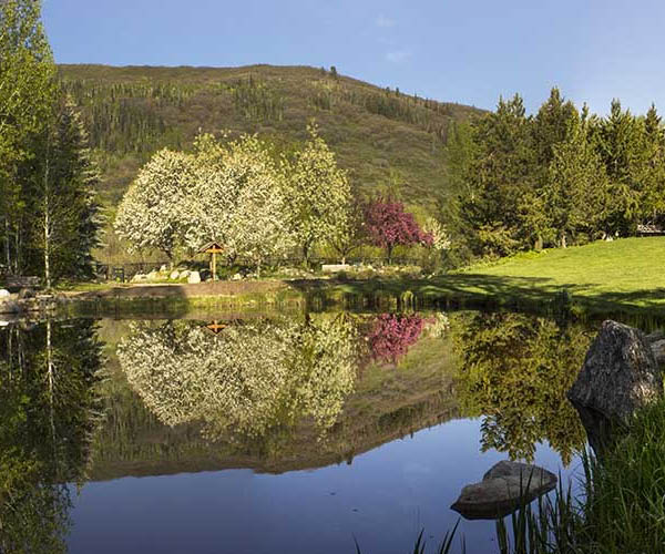 Yampa River Botanic Park
