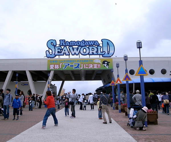 Kamogawa SEA WORLD