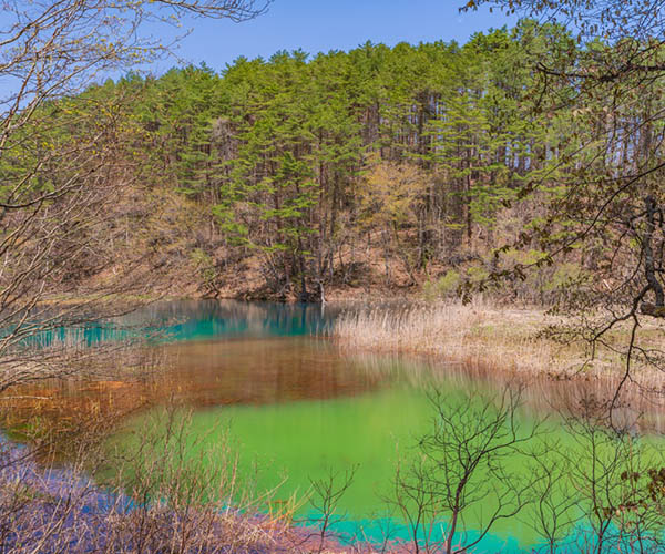 Goshikinuma (Five Coloured Ponds)