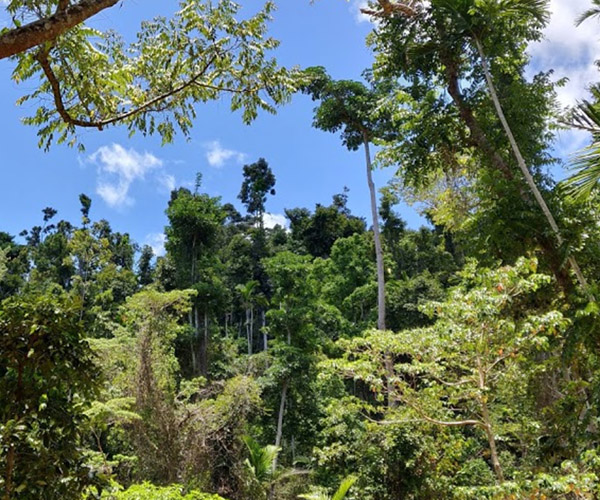 Whitsundays Great Walk