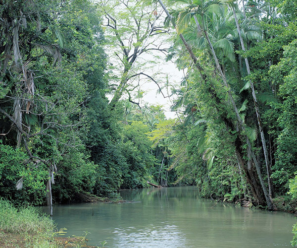 Conway National Park